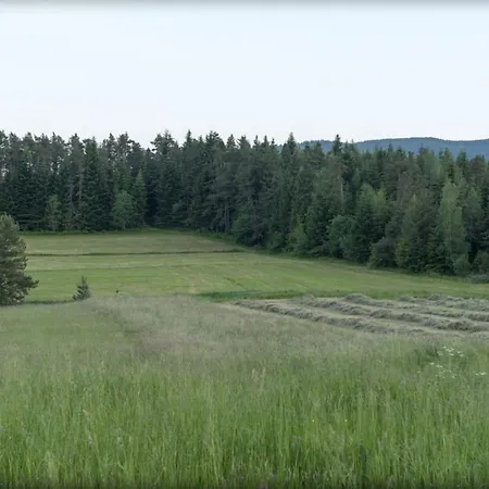 Bialy Swierczek Nyaraló Słopnice