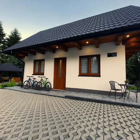 Biały świerczek