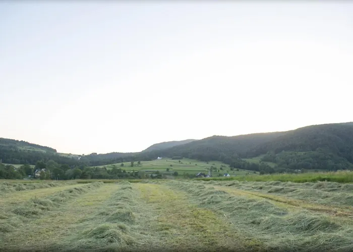 Bialy Swierczek Slopnice