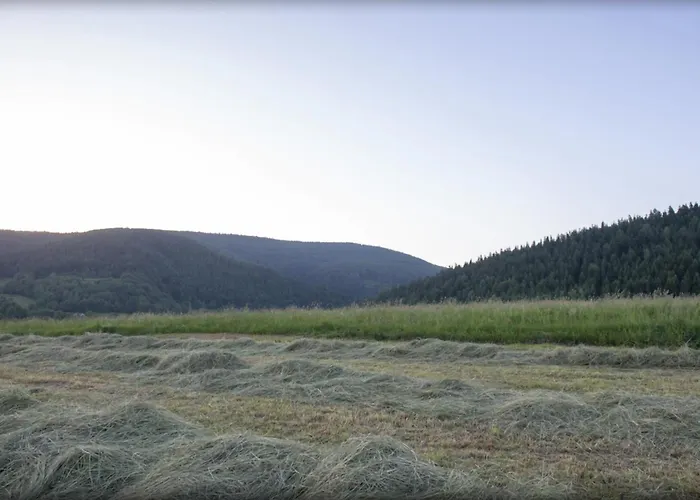 Bialy Swierczek Semesterbostad