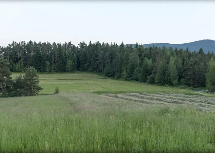 Bialy Swierczek בית נופש Slopnice